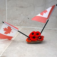 Poppy lasciati sulle tombe dalle delegazioni canadesi
