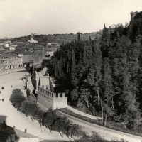 Cesena, vista di viale Mazzoni dal campanile della chiesa di S. Domenico, 1925 (BCM Fondo Dellamore, FDP 766