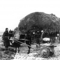 27 febbraio 1945. Partigiani della 28ª brigata che caricano munizioni  in un carretto