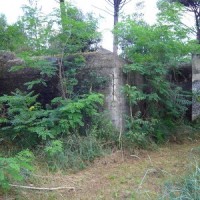 Bunker nella Pineta delle Motte.