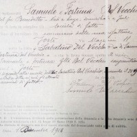 Registro ditte 1911-1925, Samuele e Fortuna Del Vecchio (CCIAA)